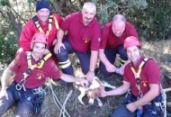 Cane da caccia caduto in un burrone salvato dai pompieri di Viterbo