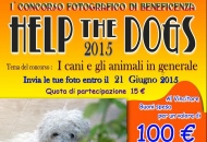 Un concorso fotografico benefico per il canile di Tuscania