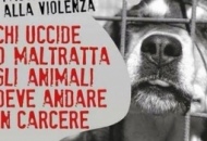 Cane ucciso a fucilate a Vallerano. «Ricompensa a chi parla»