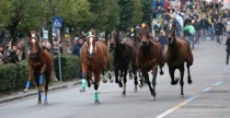 Un momento della corse a vuoto di Ronciglione, evento sospeso nel 2011 dopo la morte della cavalla Tiffany