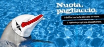 La campagna Lav e Marevivo contro la cattività dei delfini negli zoo anche a Viterbo