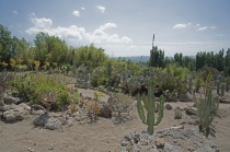 Lo splendido spazio dedicato alle piante del deserto, unico in Italia