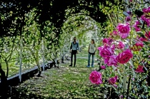 Il tunnel delle Rose