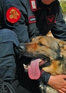 Enpa ringrazia la stazione dei carabinieri di Ischia di Castro per la sensibilità verso gli animali
