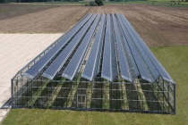 Una serra fotovoltaica ancora top secret dall'Unitus di Viterbo