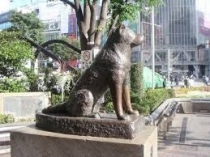 La statua di Hachiko, il cane giapponese emblema di fedeltà divenuto famoso grazie a un film con Richard Gere