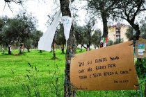 Il parco delle querce con i manifesti dei residenti che si oppongono al taglio degli alberi