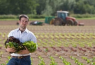 Startup e agricoltura, dalla Regione. Lazio il bando per le terre incolte