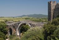 «Alto Lazio, biglietto da visita per l'Expo di Milano 2015»