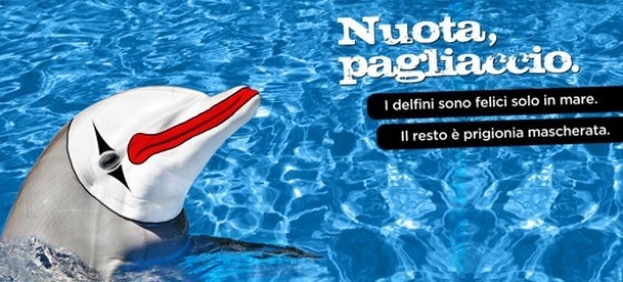 Libertà per i delfini, anche a Viterbo si firma la petizione di Lav e Marevivo