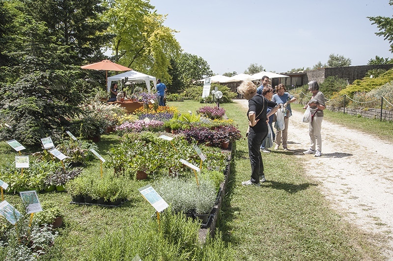 Orto Botanico, "Hortus" fa il pieno oltre 4000 i visitatori alla mostra mercato