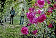 Hortus, oltre 4000 visitatori alla mostra mercato