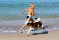 In spiaggia libera con il cane senza il cartello divieto nullo