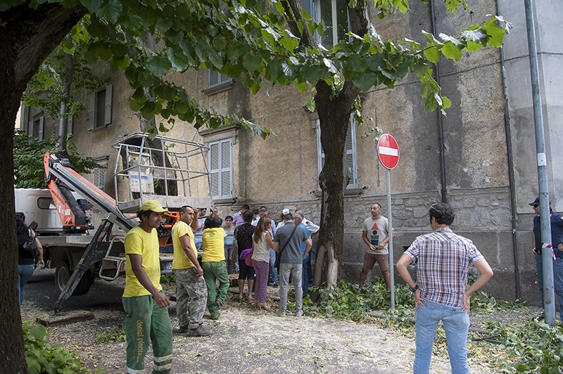 La protesta dei cittadini viterbesi blocca l'abbattimento dei tigli