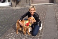 Diciassette cani salvati dai volontari grazie dalla delegata comunale De Alexandris