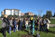 Festa degli alberi, ventitrè piante messe a dimora nel Parco della Solidarietà