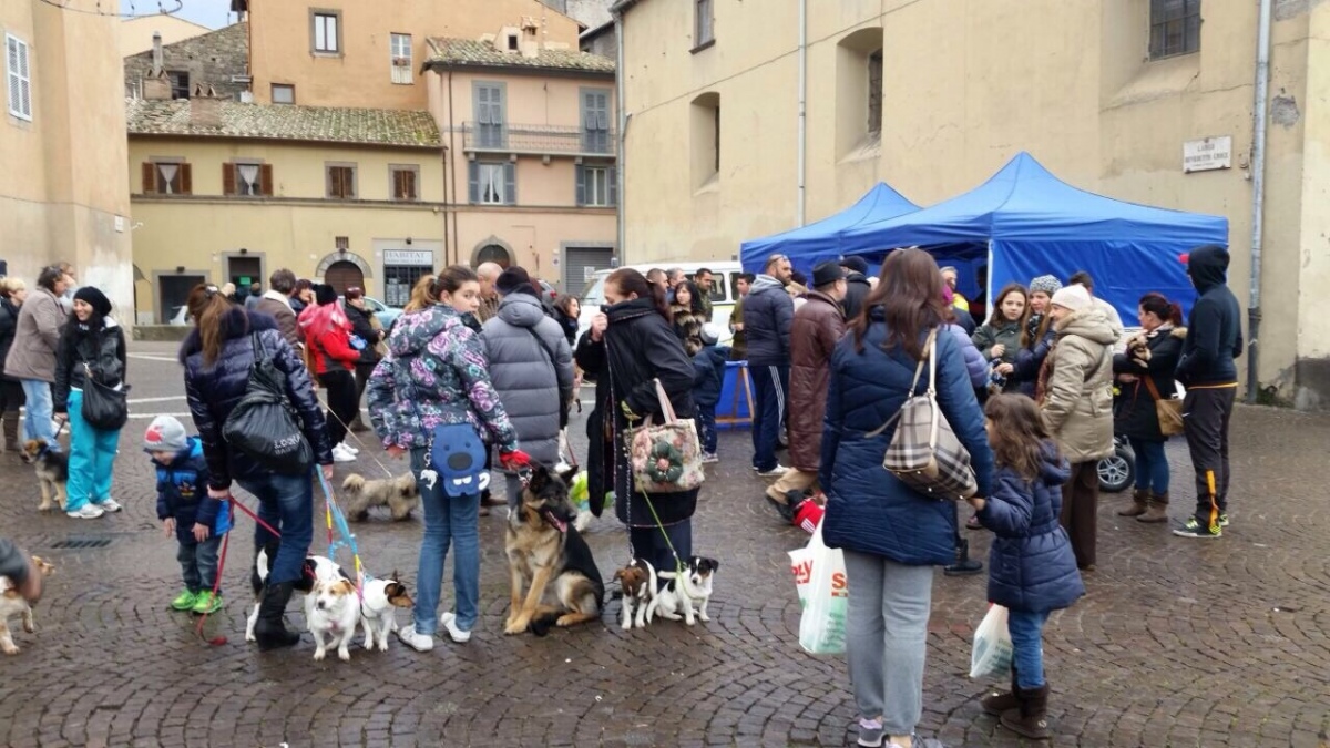 "Giornata del microchip gratuito", oltre. 300 cani regolarizzati, un grande successo