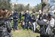 Palestra a S. Barbara, il sindaco. «Gli alberi non saranno tagliati»