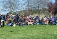 Passeggiata a sei zampe, tanti alla raccolta fondi per la Pandambulanza