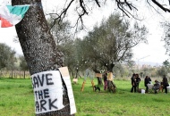 Consiglio comunale, la petizione per il Parco delle Querce tra gli argomenti in discussione