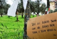 Palestra nel Parco delle Querce la Procura di Viterbo sta indagando