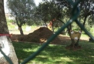 Palestra nel parco delle Querce. Il comitato:«Un bene per chi?»