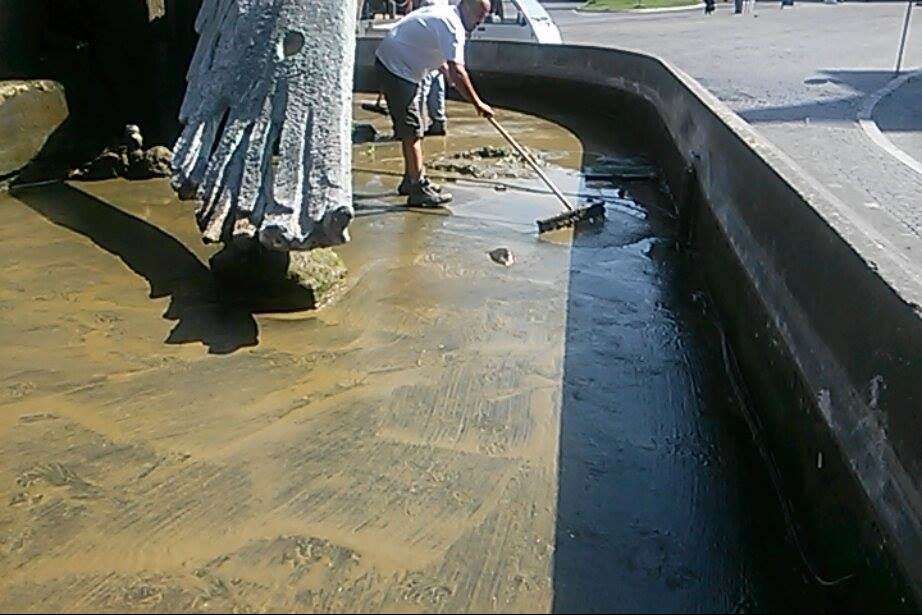 Viterbo Civica: Il Comune ci batte sul tempo e fa pulire la fontana in piazza dei Caduti"