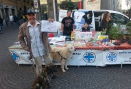 Bonsai Artigianali ed Enpa in piazza