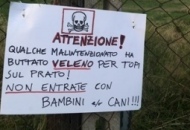 Veleno per topi a Santa Barbara