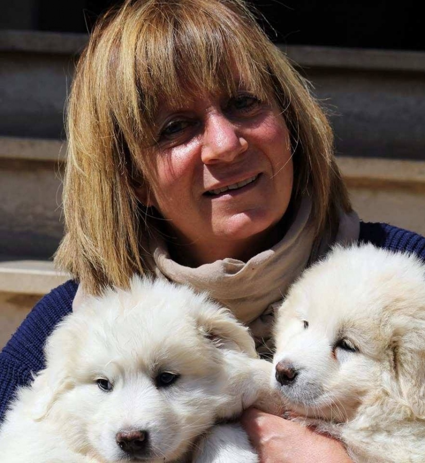 Tuscania, cani sfrattati: «I soldi per il canile ci sono ma il Comune ha bloccato tutto»