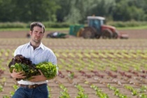 Startup e agricoltura, in arrivo il bando dalla Regione Lazio per l'utilizzo delle terre incolte