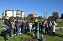 La messa a dimora di alcuni alberi alla presenza delle scuole materne, elementari e medie. il melograno è stato donato dal sindaco Leonardo Michelini, alla piantumazione ha contribuito la prima media della scuola Egidi, sez G. Sul posto gli assessori Saraconi e Valeri