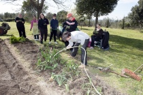 I ragazzi alle prese con l'orto