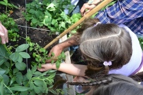 Insegnare ai bambini il legame tra terra e cibo