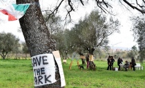 Il Parco delle Querce minacciato dalle ruspe a Santa Barbara, Viterbo