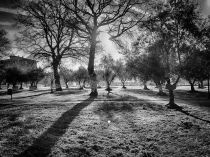 Un'immagine del parco prima dei lavori (foto Bruno Pagnanelli)