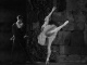 Galà di danza in omaggio a Rudolf Nureyev