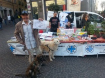 Mauro Chiarle, referente Enpa di Viterbo con i suoi amici pelosetti in piazza