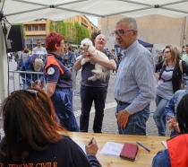 Da sinistra: Cinzia Viglianti, Nicola Pollastrelli, Giancarlo Nicolai e Paola Pallotta