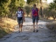 Sulla Via Francigena da Proceno a Roma