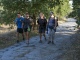 Sulla Via Francigena da Proceno a Roma