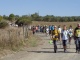 Sulla Via Francigena da Proceno a Roma