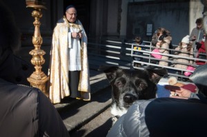 Benedizione degli animali alla Trinità di Viterbo (Foto G. Tassi, riproduzione riservata)